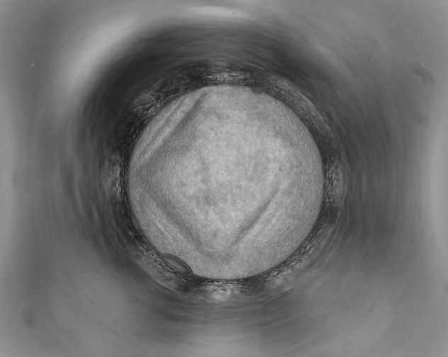 X0000111040762200907161344