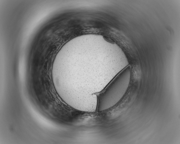 X0000111040764200907161344