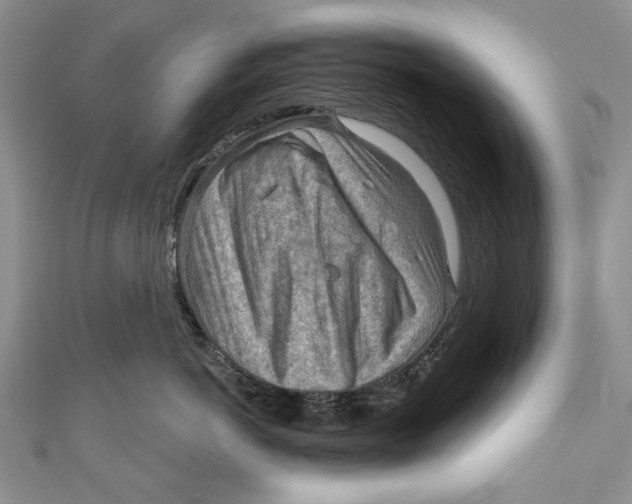 X0000111040766200907161344