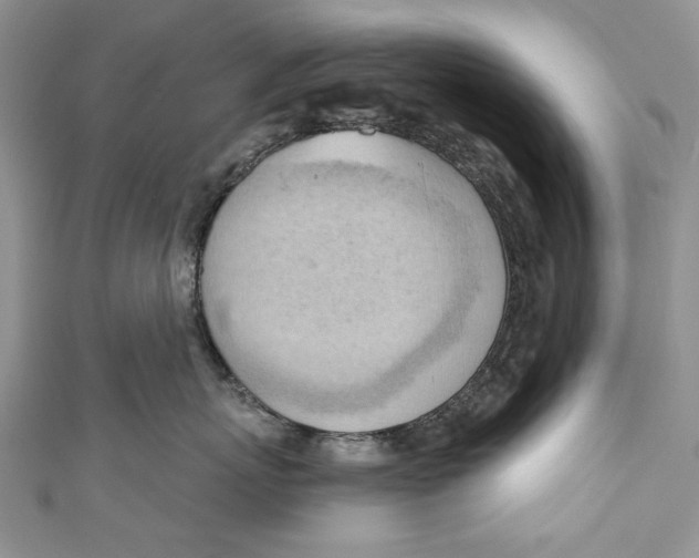 X0000111040767200907161344