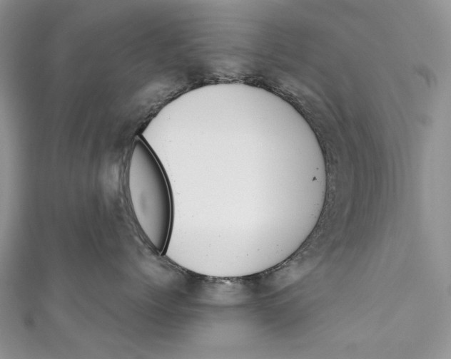 X0000111040768200907161344