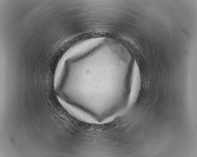 X0000111040773200907161344