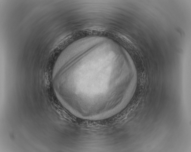 X0000111040774200907161344