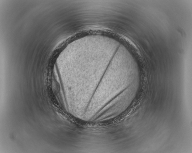 X0000111040775200907161344