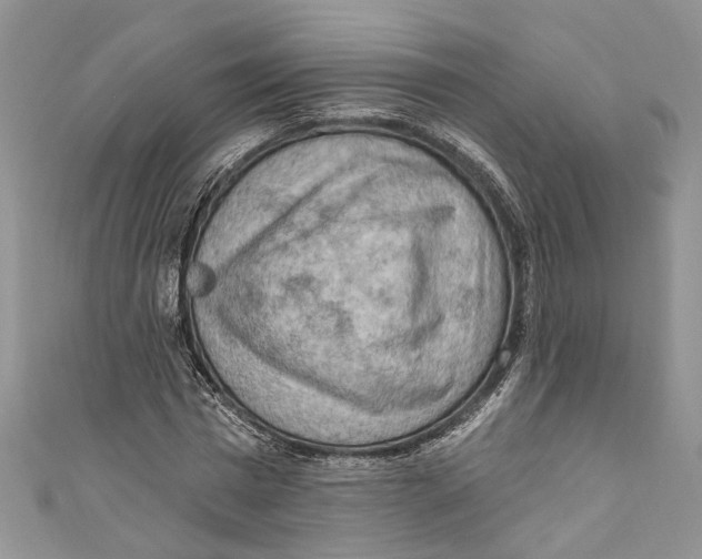 X0000111040777200907161344