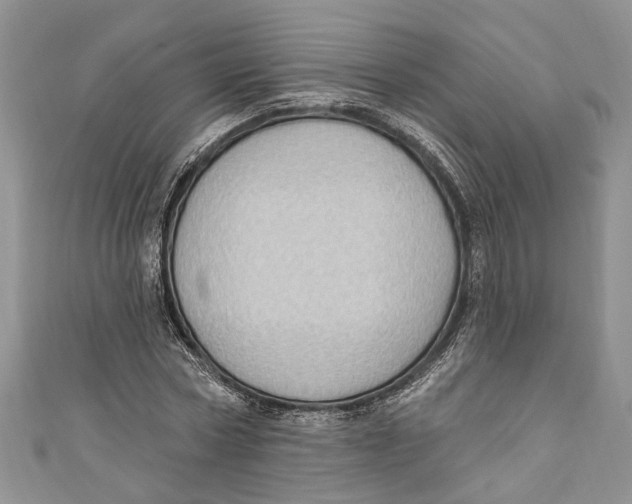 X0000111040778200907161344