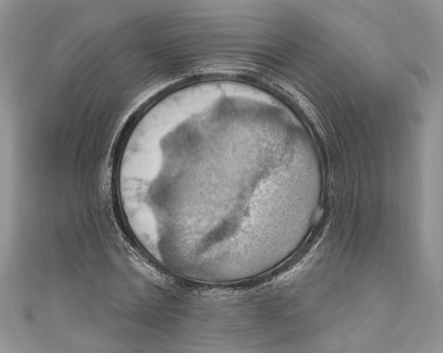 X0000111040779200907161344