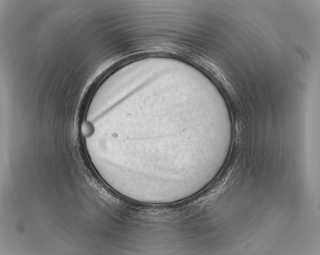 X0000111040780200907161344