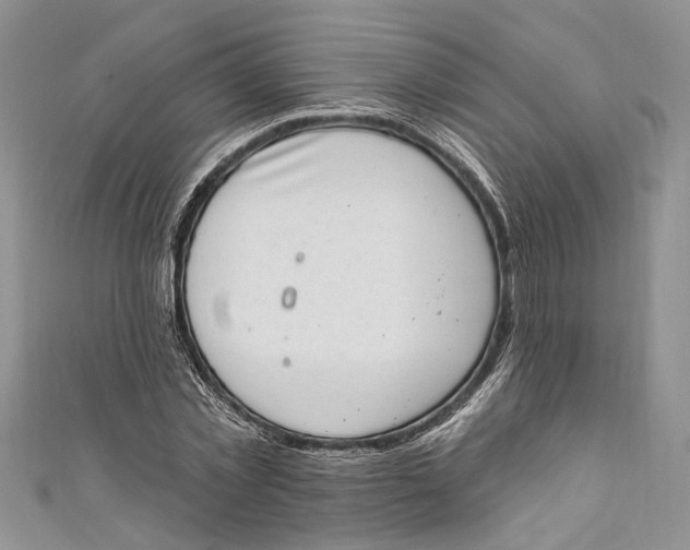 X0000111040781200907161344