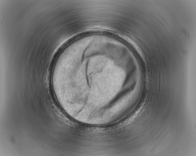 X0000111040783200907161344