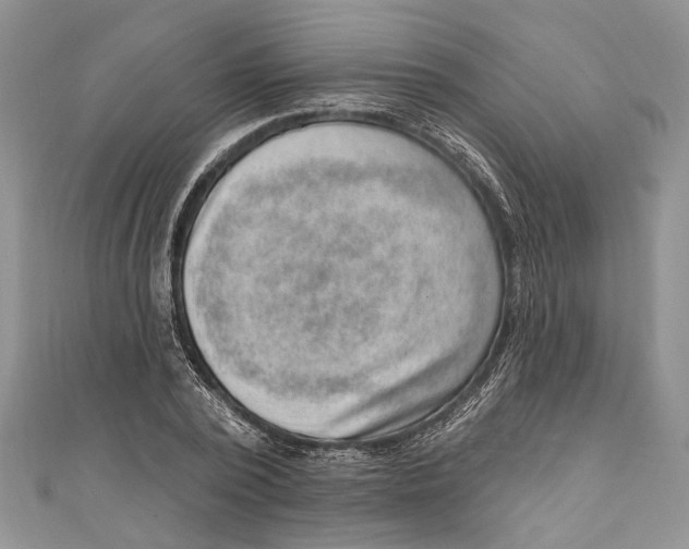 X0000111040784200907161344