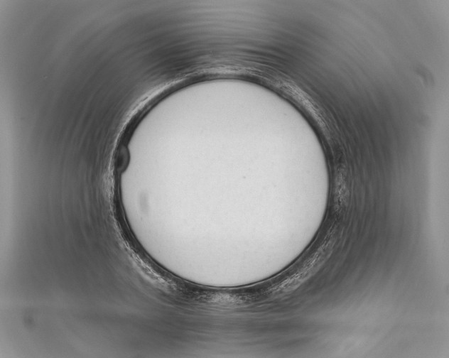 X0000111040787200907161343