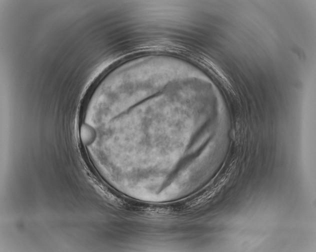 X0000111040788200907161343