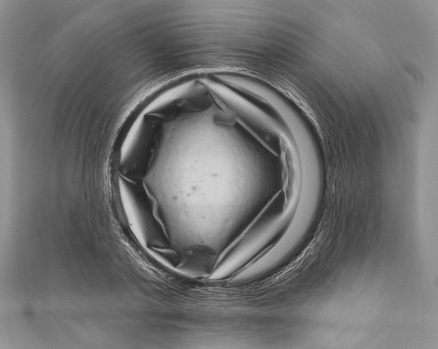 X0000111040789200907161343