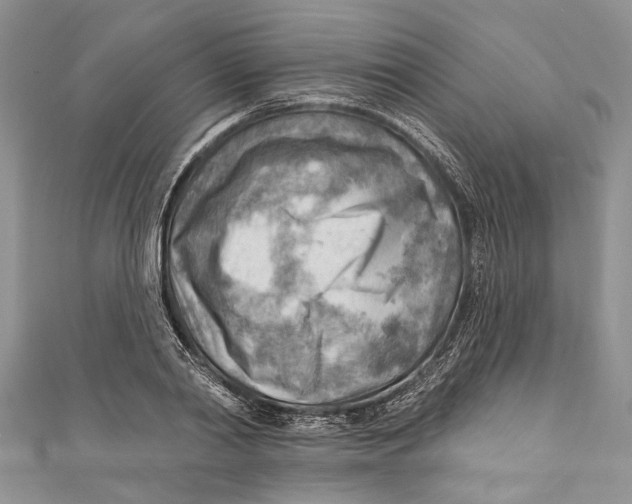 X0000111040790200907161343