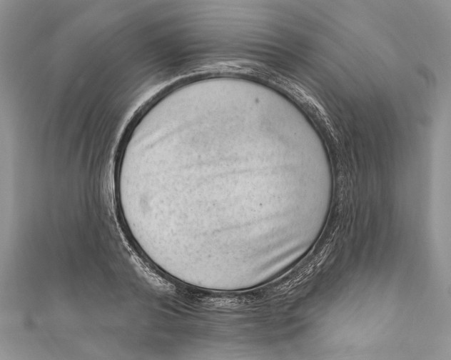 X0000111040792200907161343