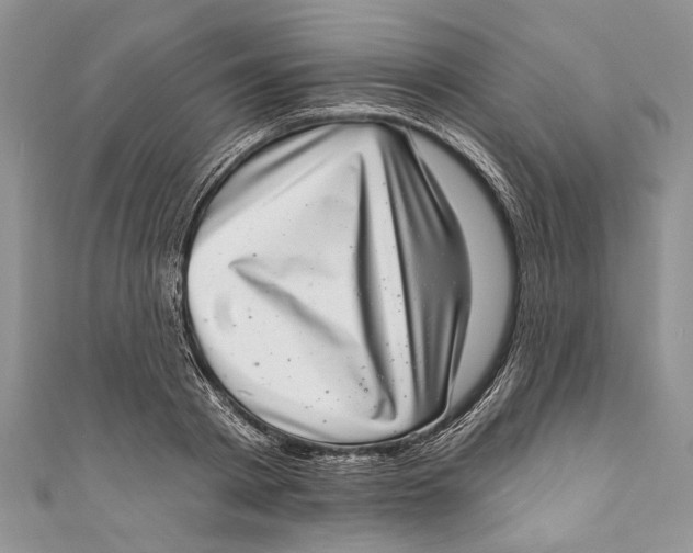 X0000111040793200907161343