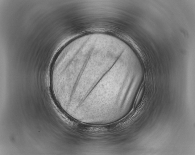 X0000111040795200907161343