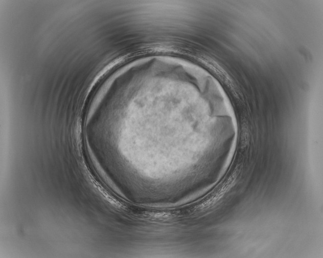 X0000111040798200907161343