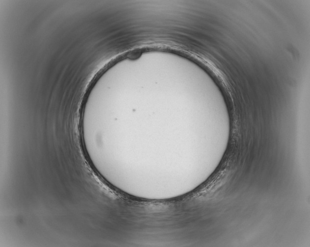 X0000111040799200907161343