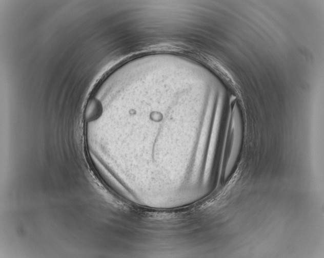 X0000111040800200907161343