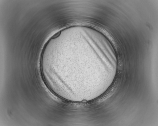 X0000111040803200907161343