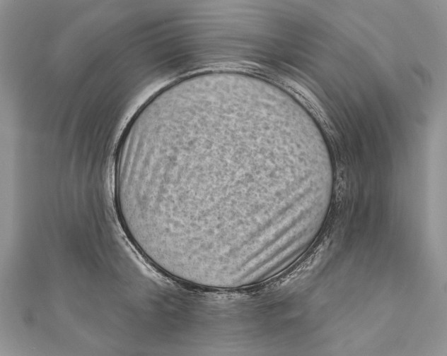 X0000111040804200907161343