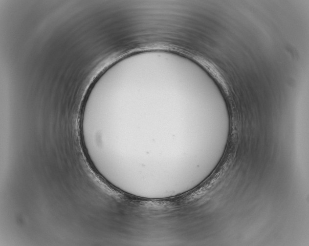 X0000111040805200907161343