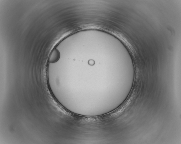 X0000111040806200907161343