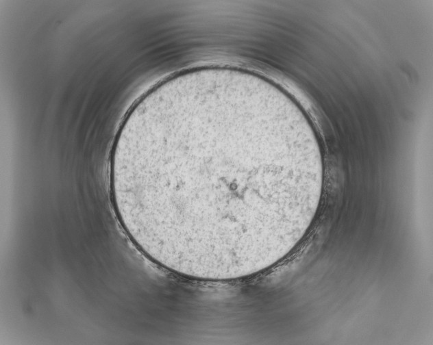 X0000111040807200907161343