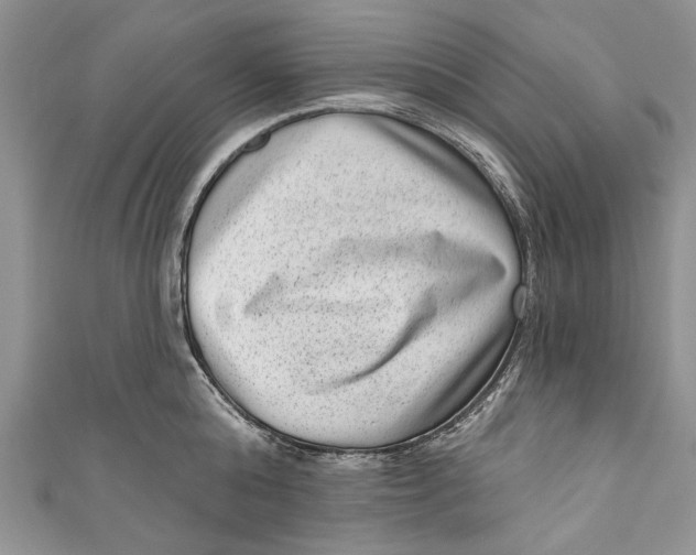 X0000111040808200907161343