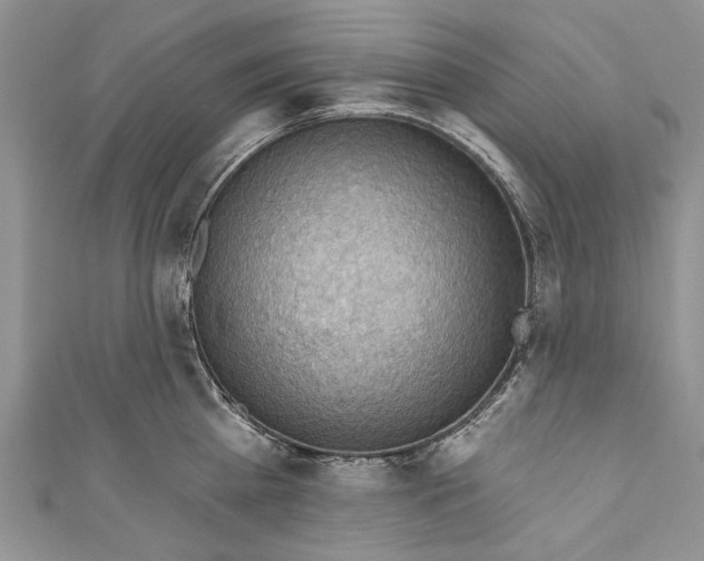 X0000111040809200907161343