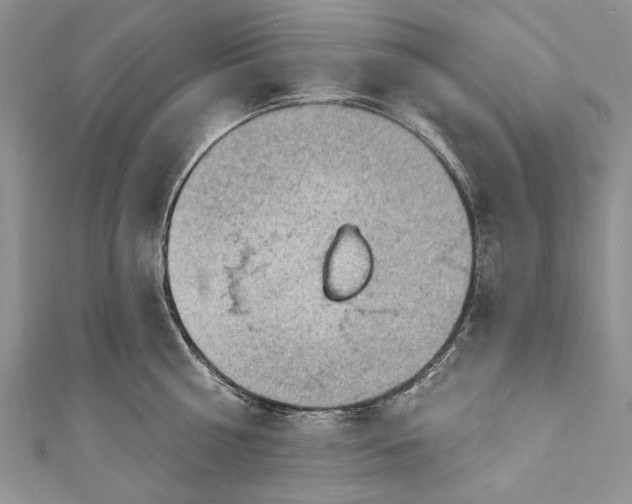 X0000111040810200907161343