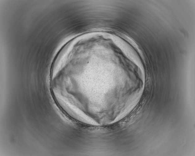 X0000111040811200907161343