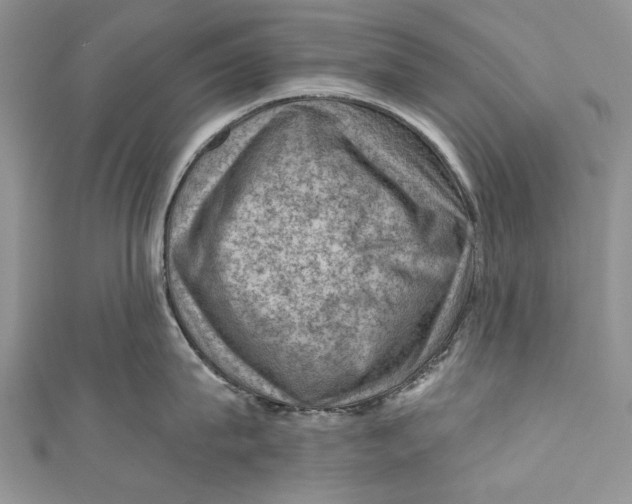 X0000111040815200907161343