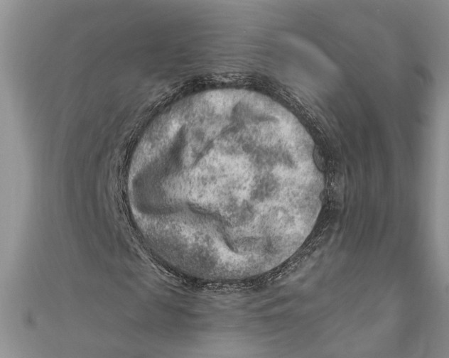 X0000111040817200907161343