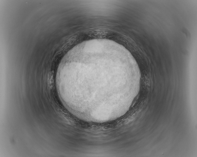 X0000111040818200907161343