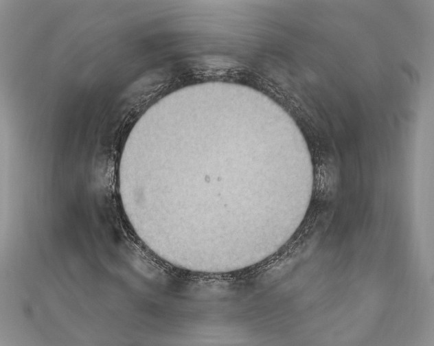 X0000111040820200907161343