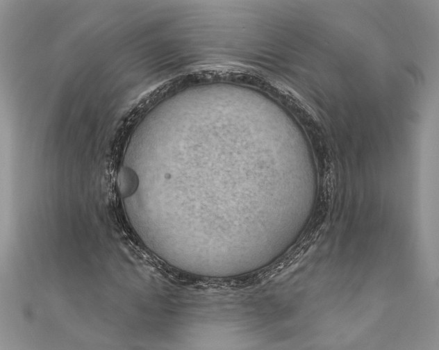 X0000111040822200907161343