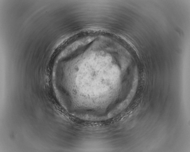 X0000111040823200907161343