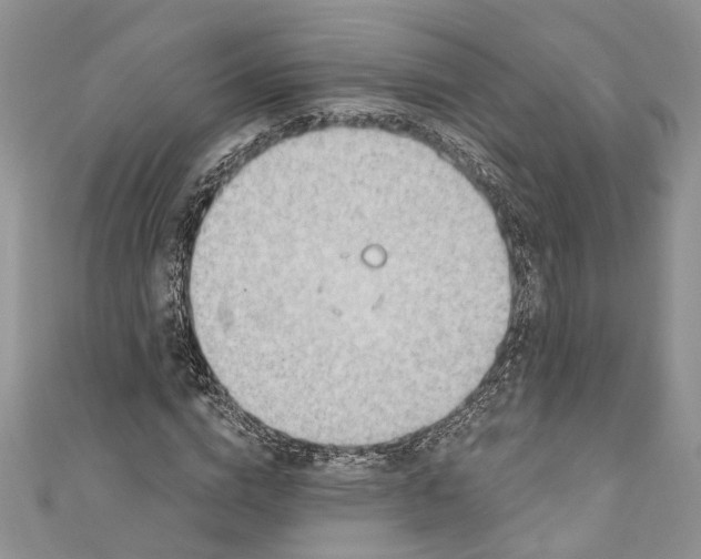 X0000111040824200907161343