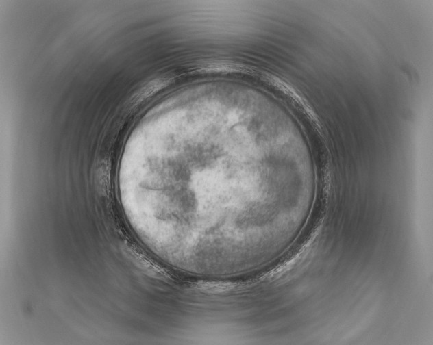 X0000111040825200907161343