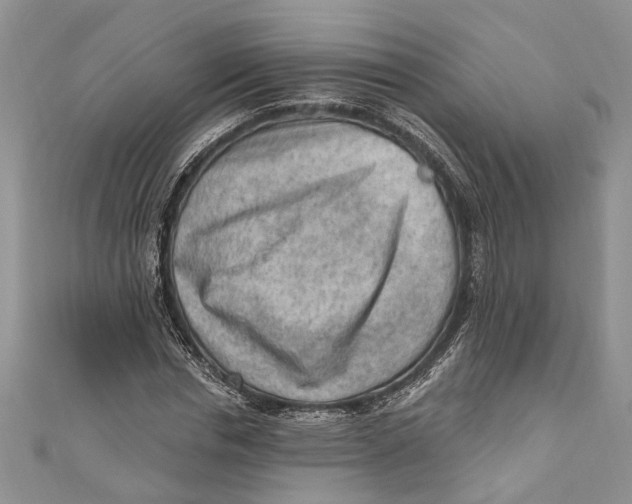 X0000111040826200907161343