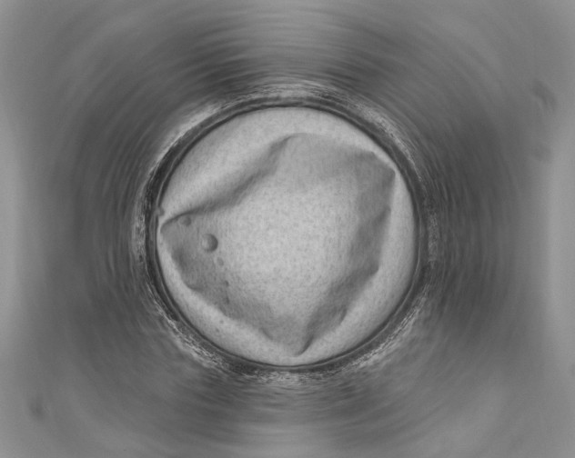 X0000111040827200907161343