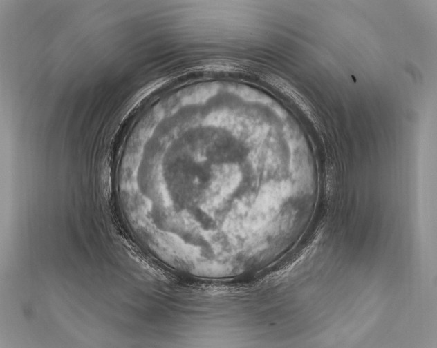 X0000111040829200907161343