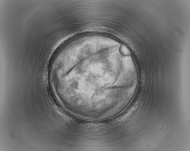 X0000111040830200907161343