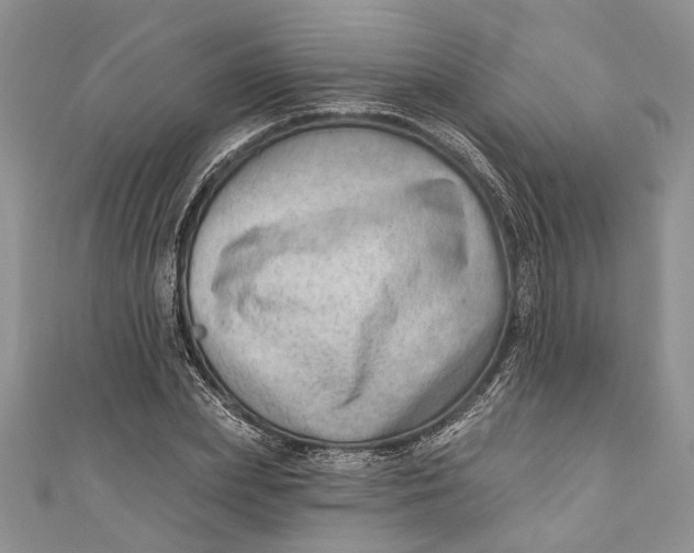 X0000111040831200907161343