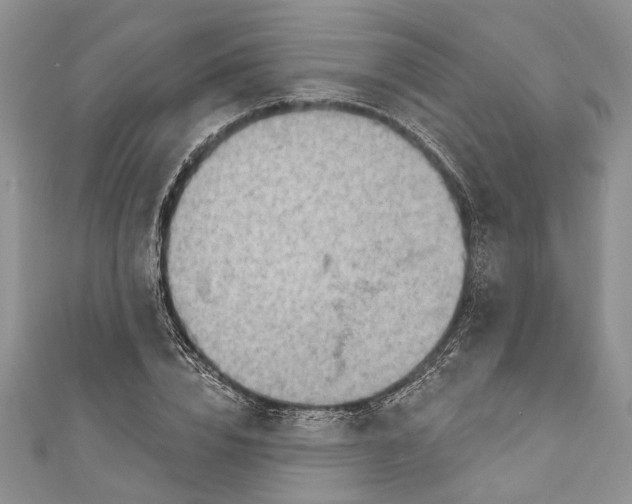 X0000111040832200907161343