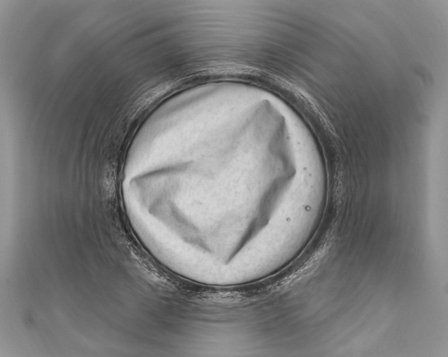 X0000111040833200907161343