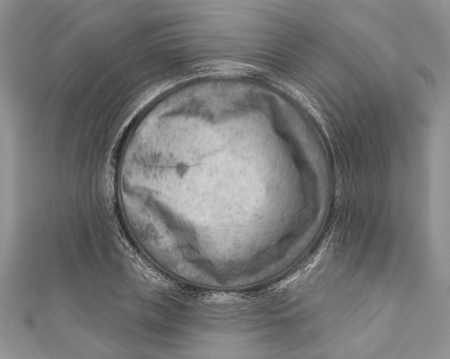 X0000111040835200907161343